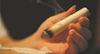【艾灸知識(shí)】春暖花開，衣衫漸薄，再不減肥，身上的肉肉可藏不住了！