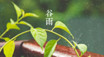 【二十四節(jié)氣灸】谷雨節(jié)氣脾土濕，艾灸降濕濁，脾旺不受邪！